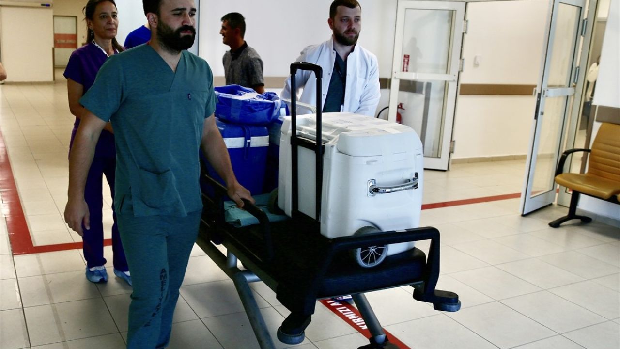 Giresun'da Organ Bağışı Umut Oldu