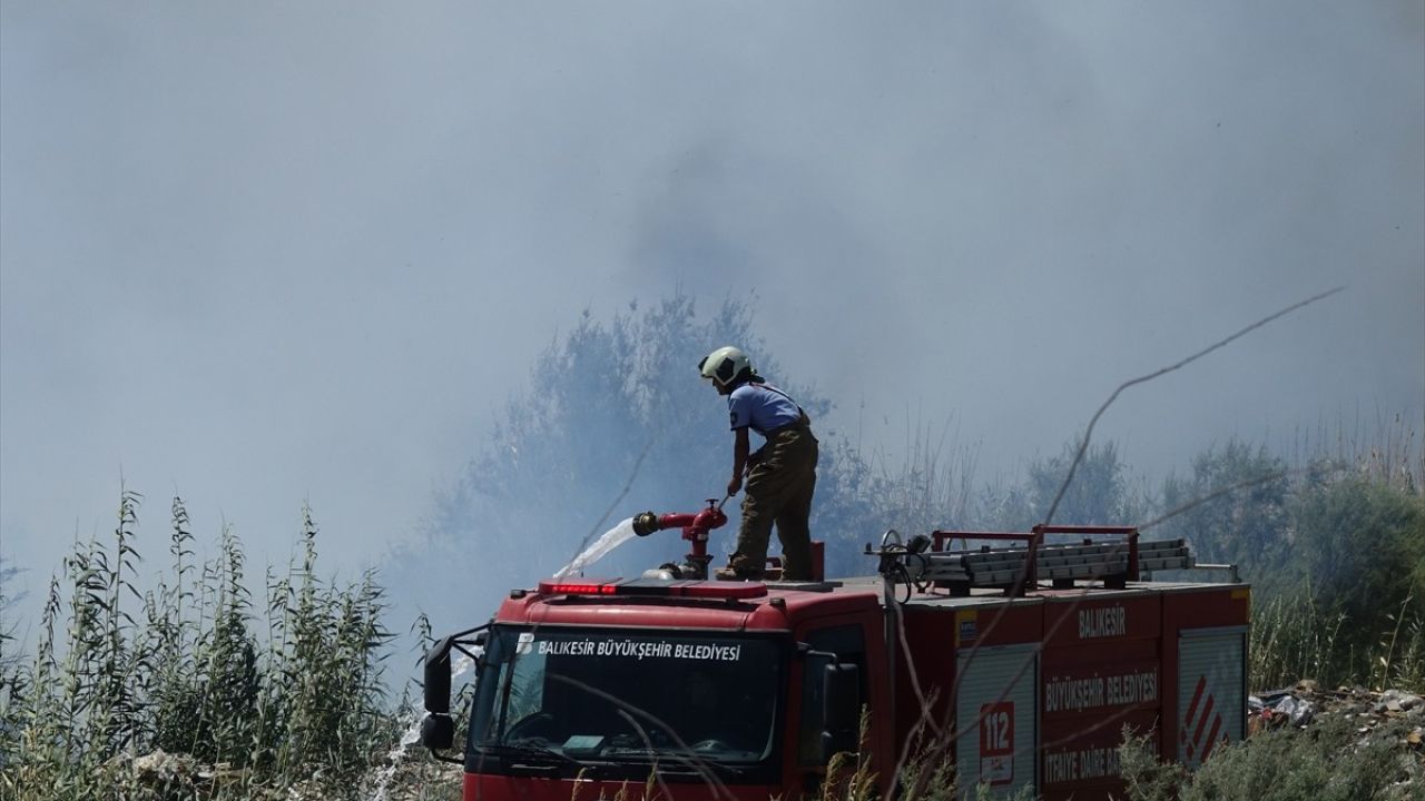 Balıkesir'de Sazlık Yangınları Kontrol Altına Alındı