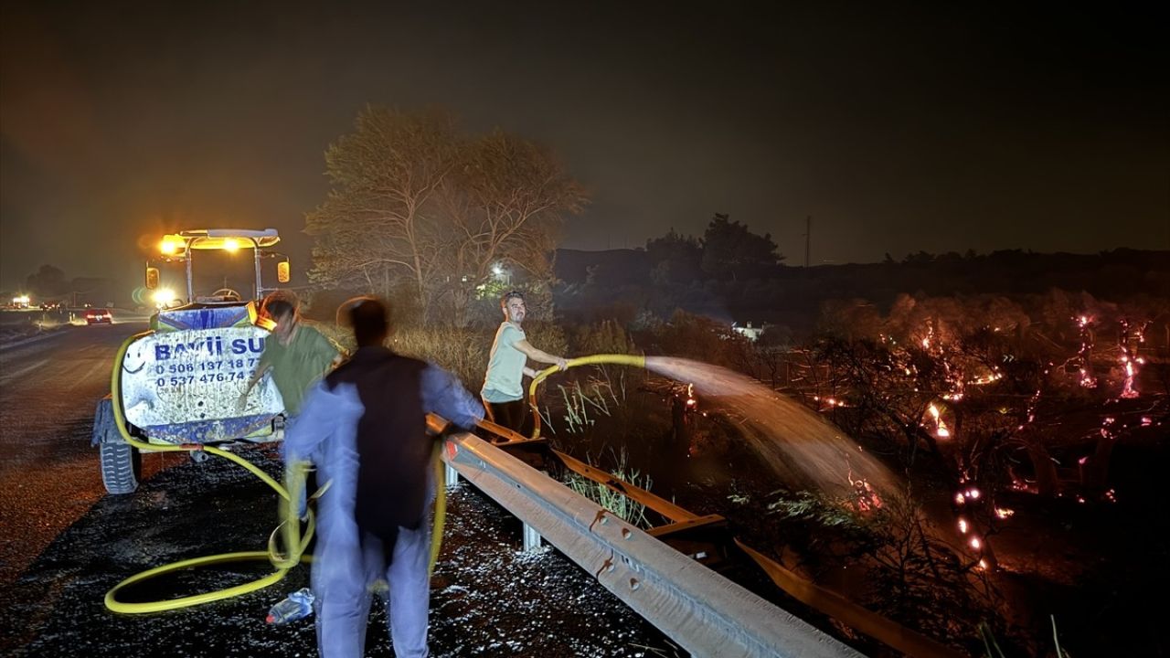 İzmir Kemalpaşa'da Zeytinlik Yangınına Müdahale Ediliyor