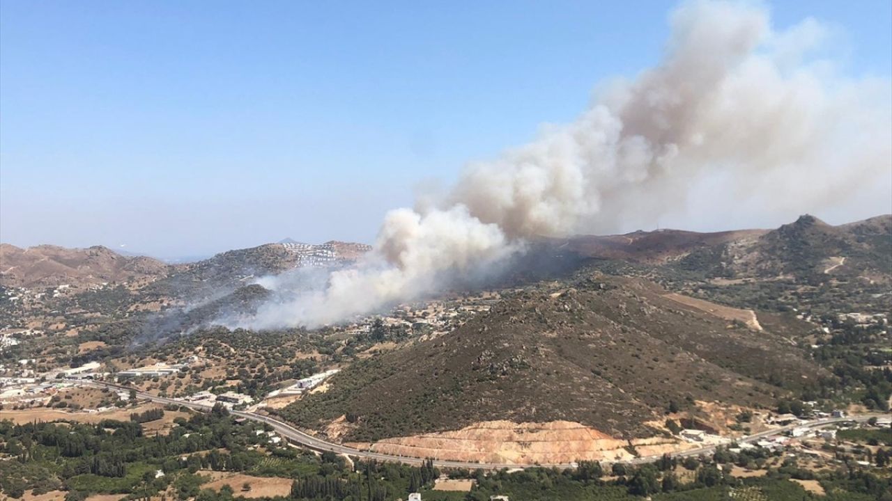 Aydın'da Orman Yangınına Hızlı Müdahale