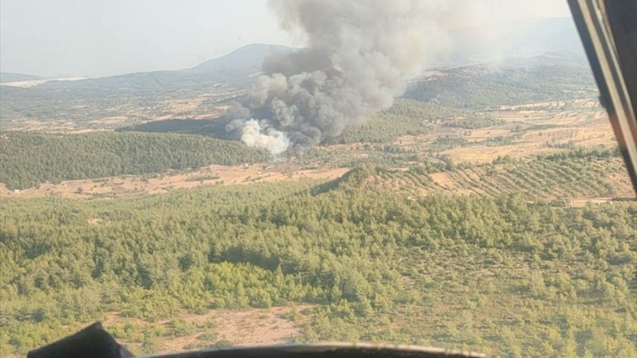 Milas'ta Orman Yangınına Hızlı Müdahale