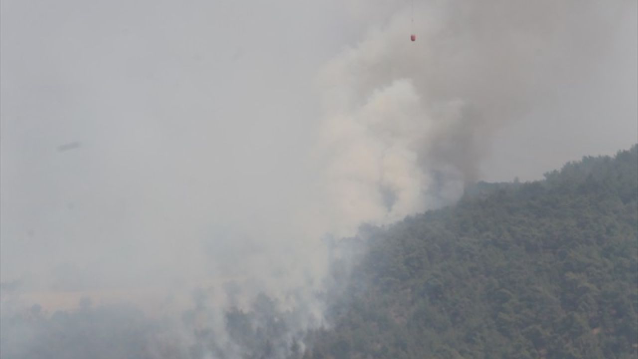 Manisa'daki Orman Yangınlarına Müdahale Devam Ediyor