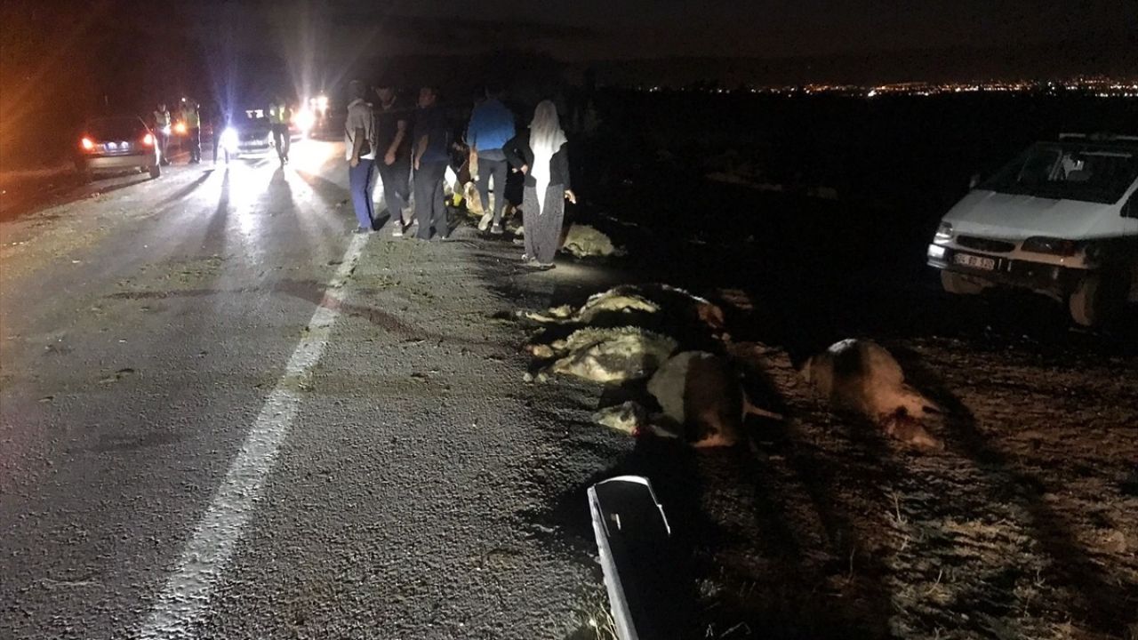 Erzincan'da Koyun Sürüsüne Çarpan Otomobil Kazası