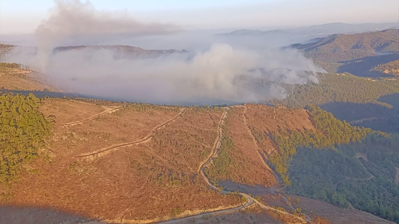 Manisa Orman Yangınlarına Müdahale Devam Ediyor