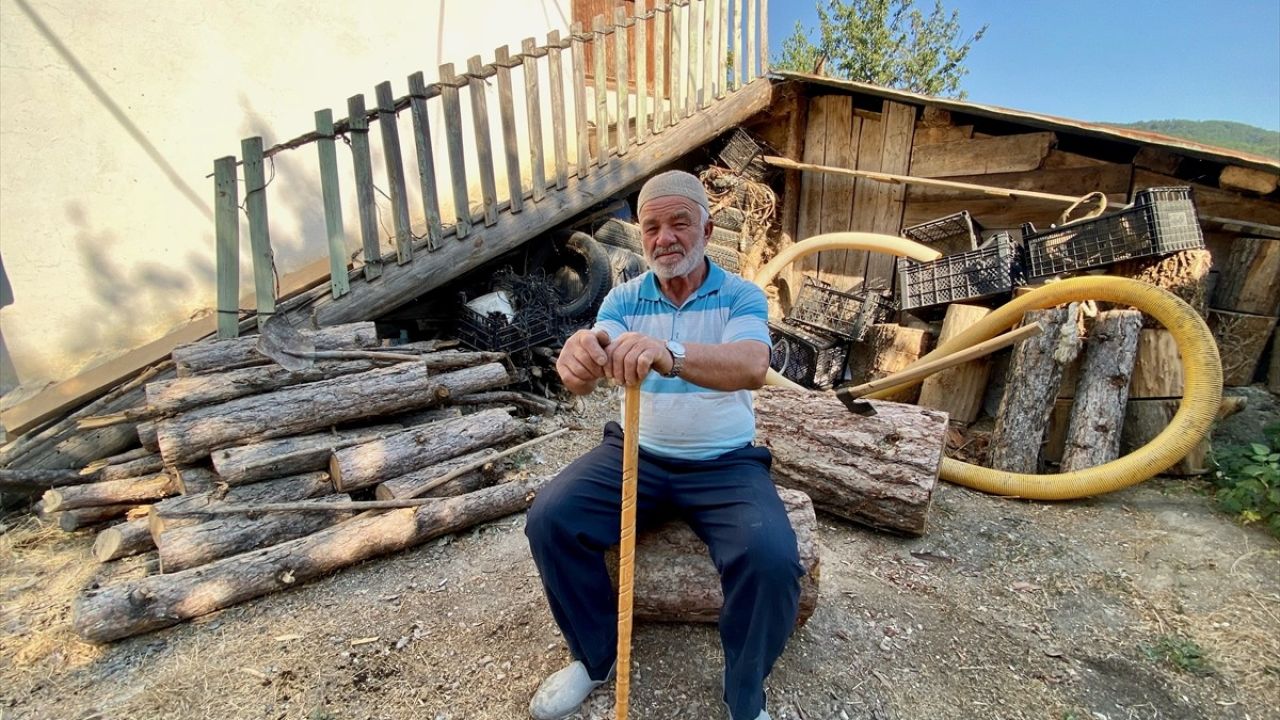 Bolu'daki Orman Yangınında Tahliye Edilenler Evlerine Dönüyor