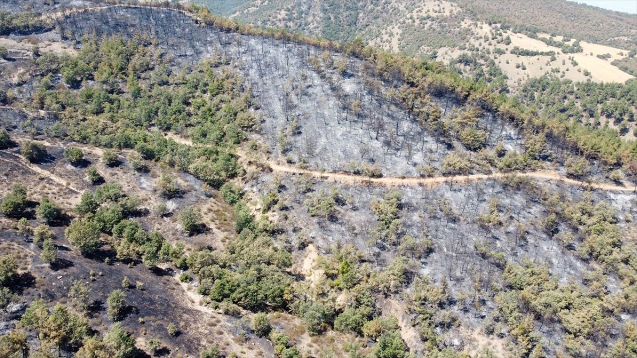 Uşak'ta Orman Yangını Havadan Görüntülendi