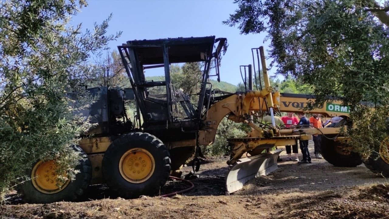 Bursa'da Zeytinlikte Yangın Paniği: İtfaiye Ekipleri Müdahale Etti