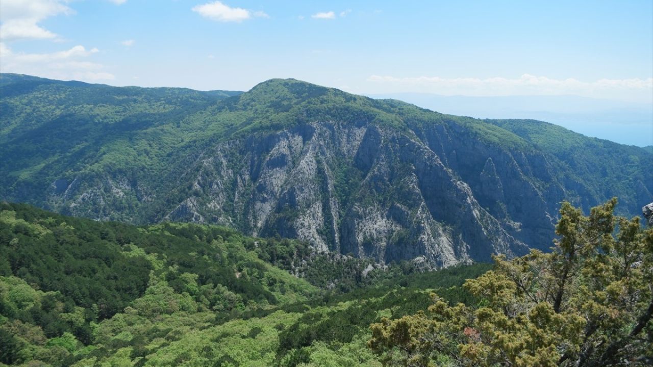 Kazdağları Milli Parkı Yangın Riski Nedeniyle Ziyarete Kapatıldı