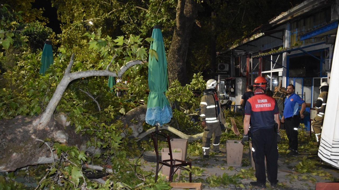 İzmir'de Asırlık Çınar Ağacının Dalları Düşünce 9 Yaralı