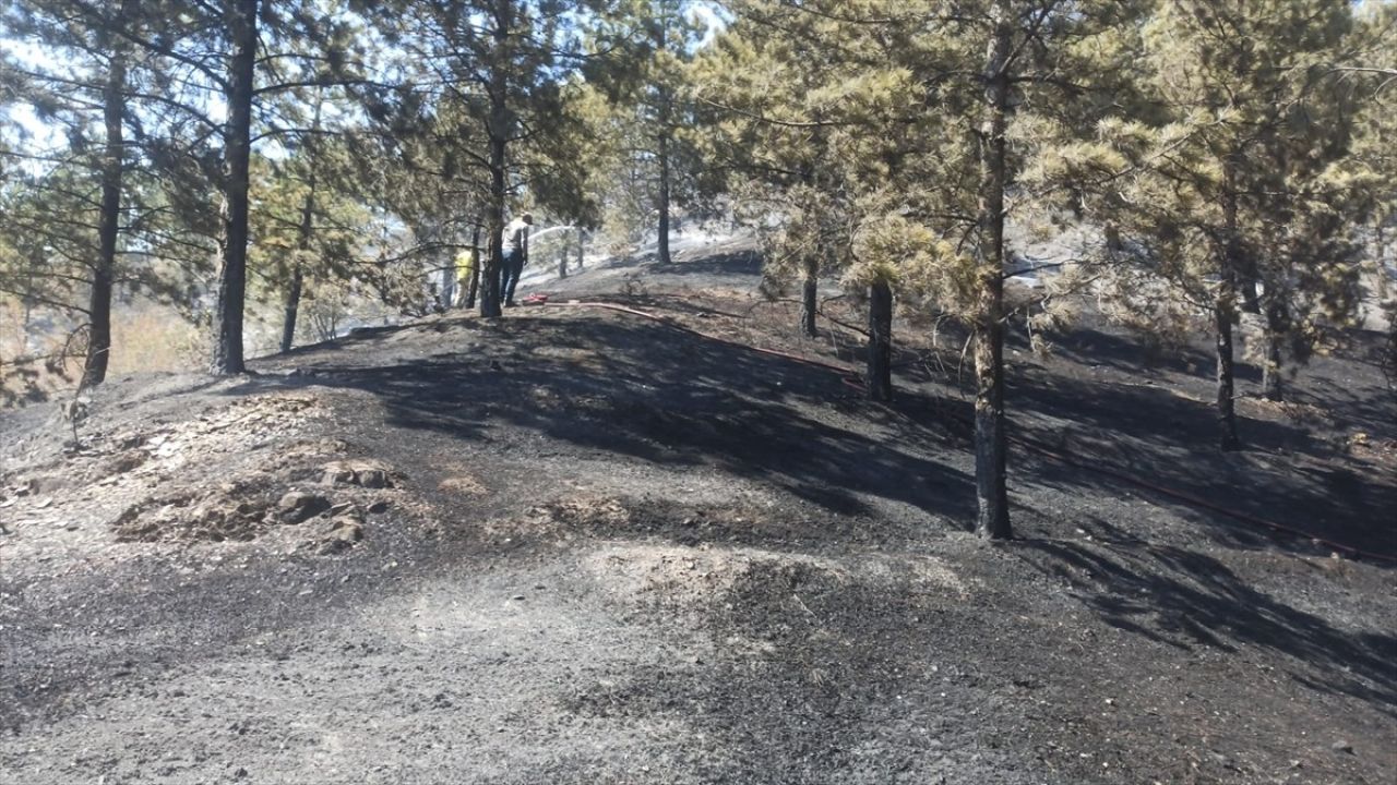 Tokat'ta Orman Yangını: 2 Hektar Zarar Gördü