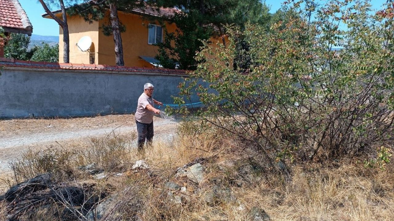 Kastamonu'da Anız Yangını Kontrol Altına Alındı