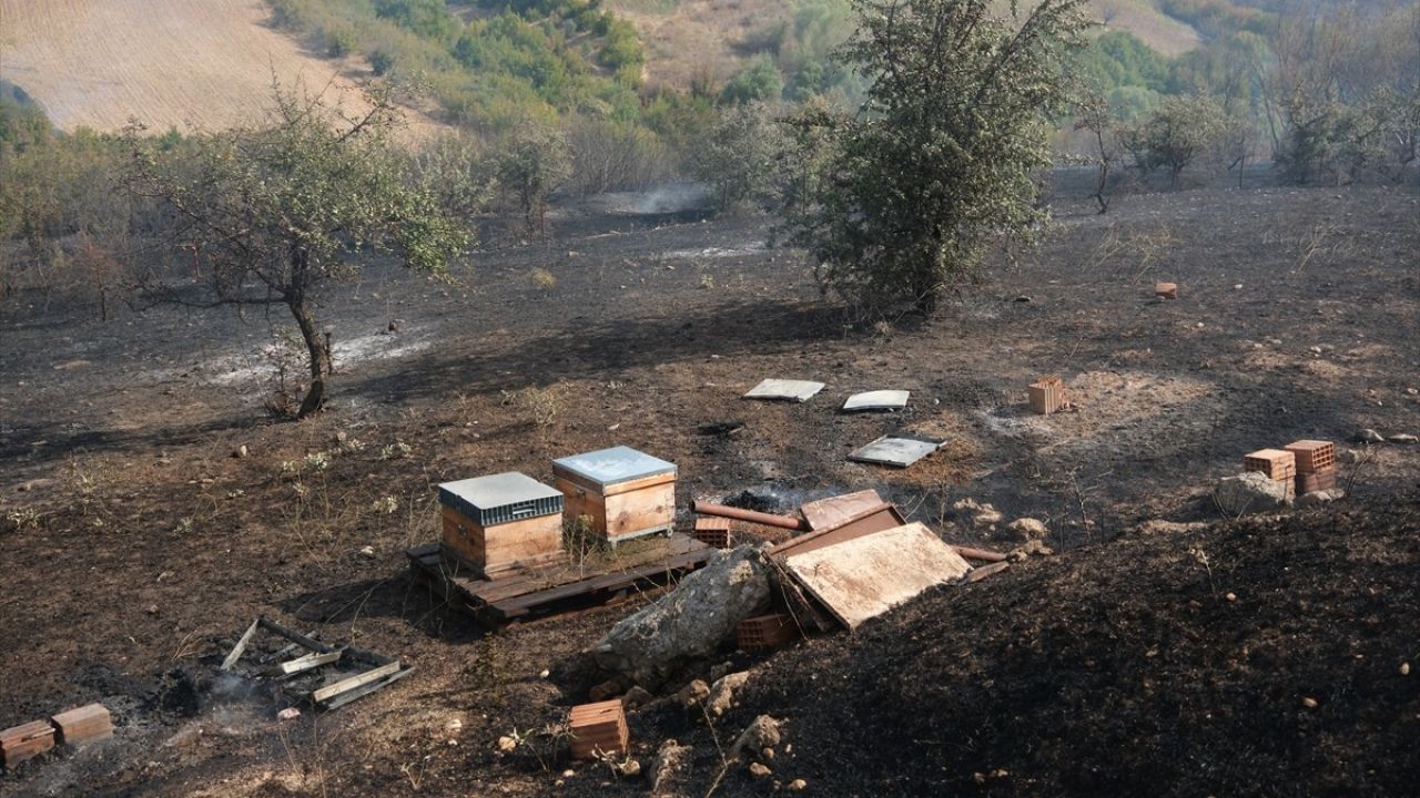 Kırklareli'nde Anız Yangını Kontrol Altına Alındı