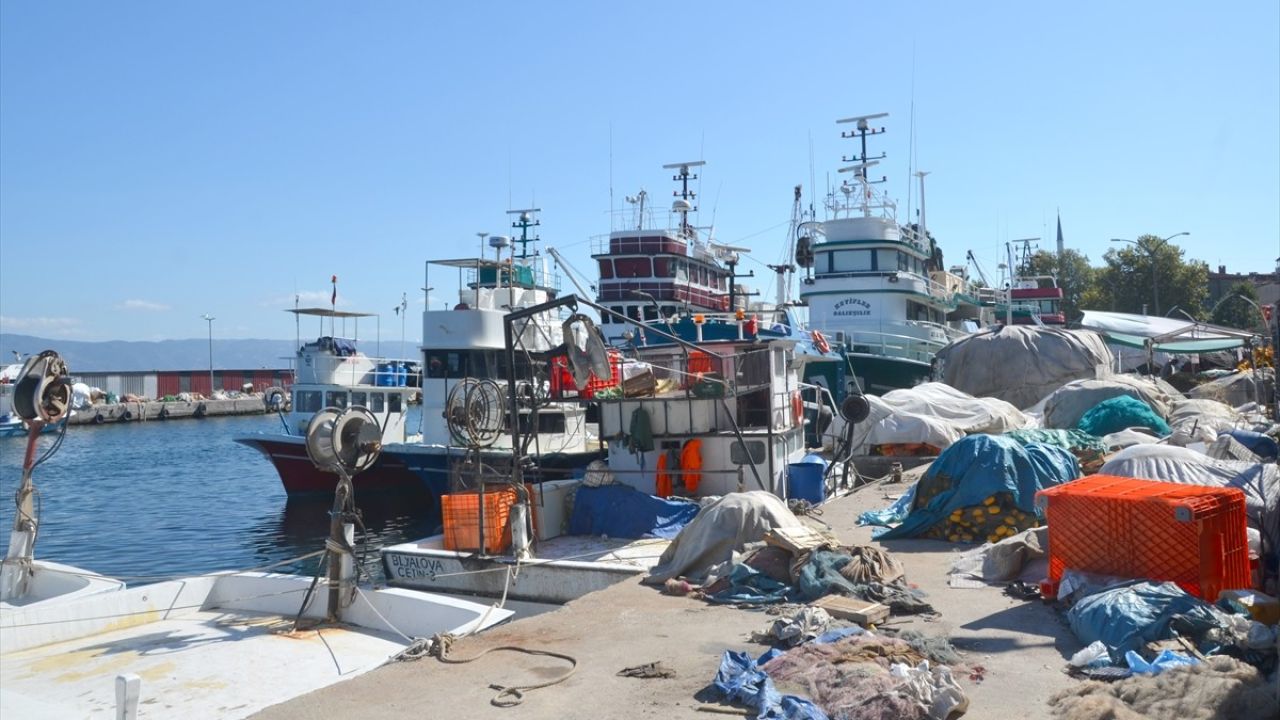 Sakarya ve Kocaeli'de Palamut Sezonu İçin Beklentiler Yükseliyor