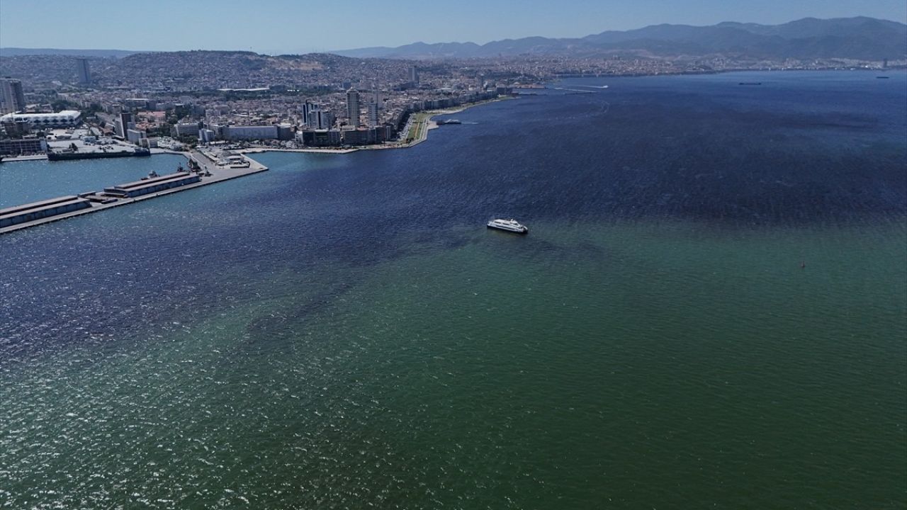 İzmir Körfezi'nde Balık Ölümleri Üzerine İnceleme Başlatıldı