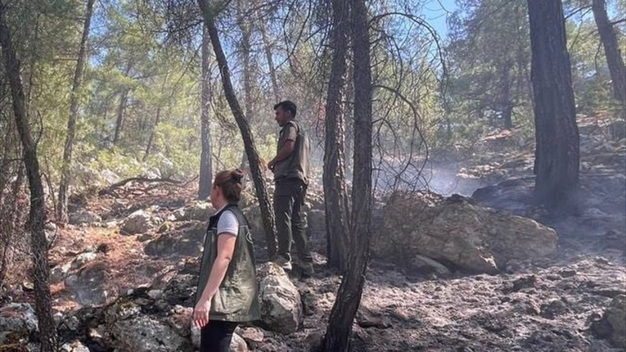 Burdur'da Yıldırım Düşmesiyle Çıkan Orman Yangını Kontrol Altına Alındı