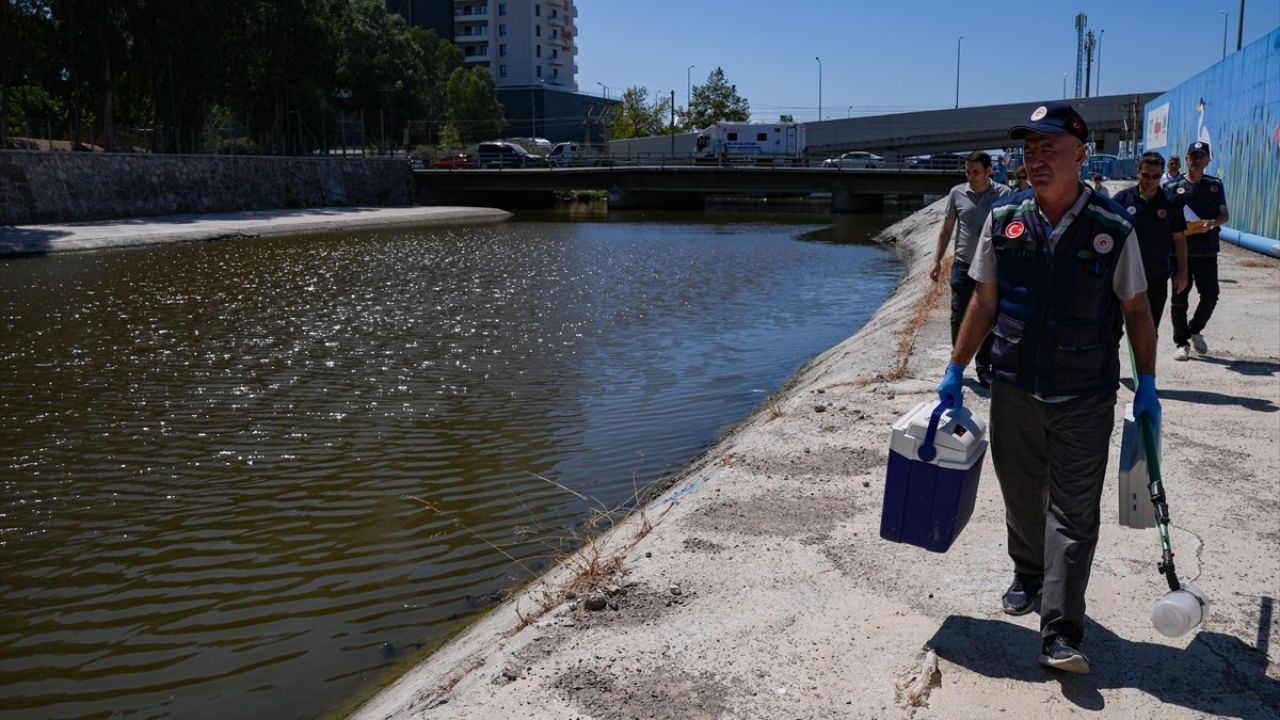 İzmir Körfezi'nde Balık Ölümleri Üzerine Yoğun Denetimler Başlatıldı