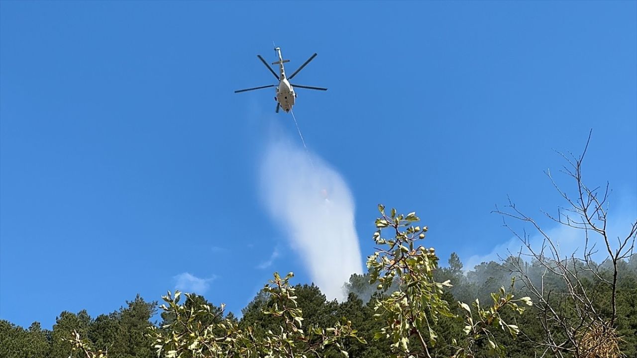 Isparta'da Orman Yangını Kontrol Altına Alındı