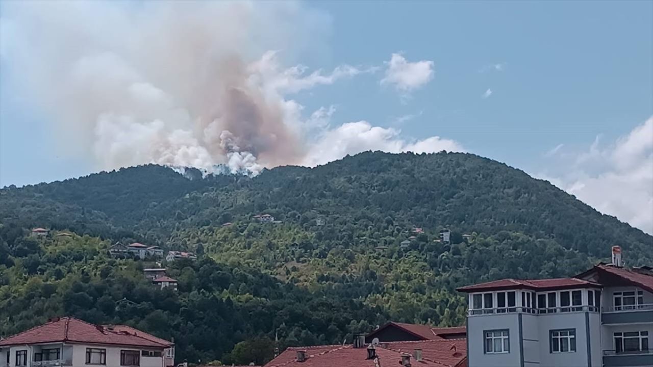 Zonguldak'ta Orman Yangını Kontrol Altına Alındı