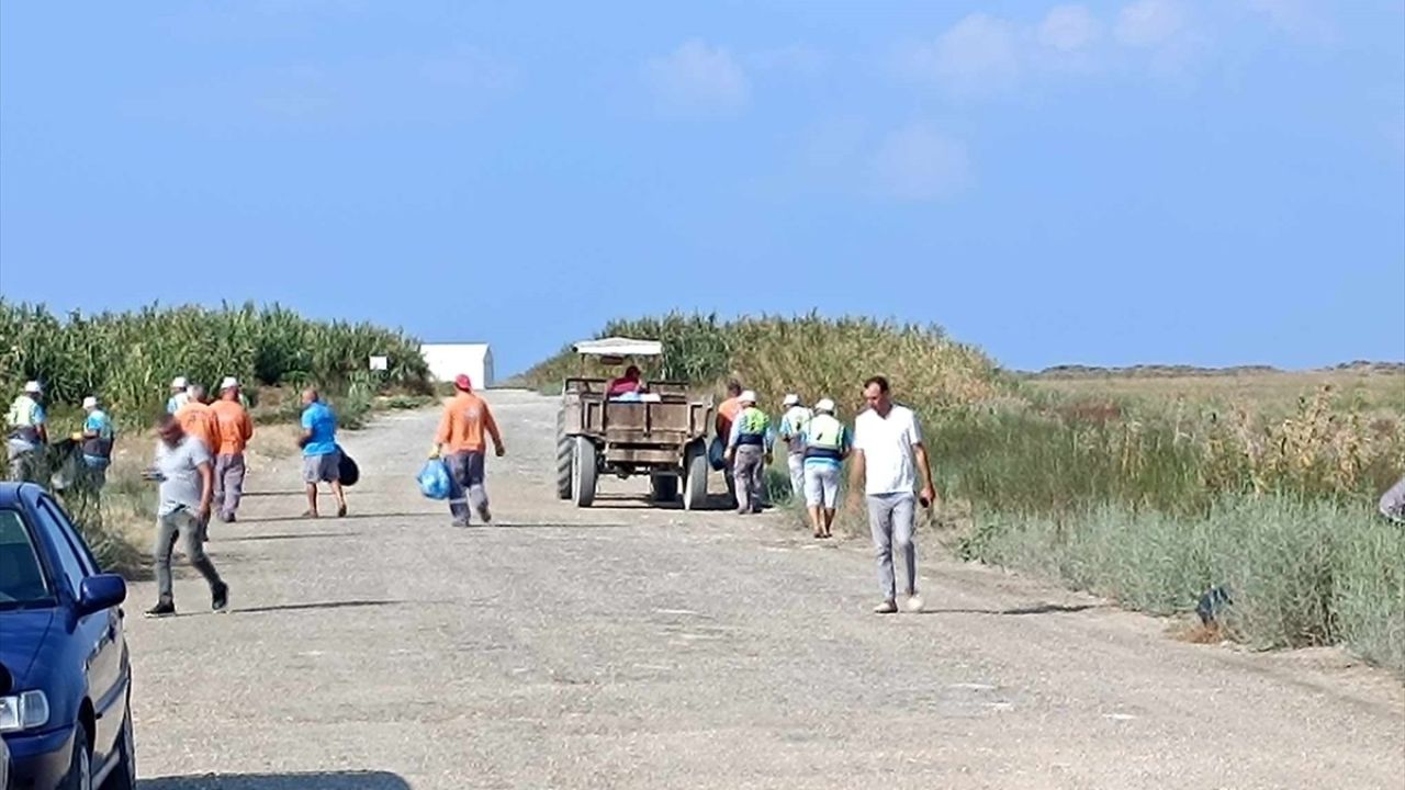 Mileyha Sulak Alanı'nda Temizlik Çalışmaları