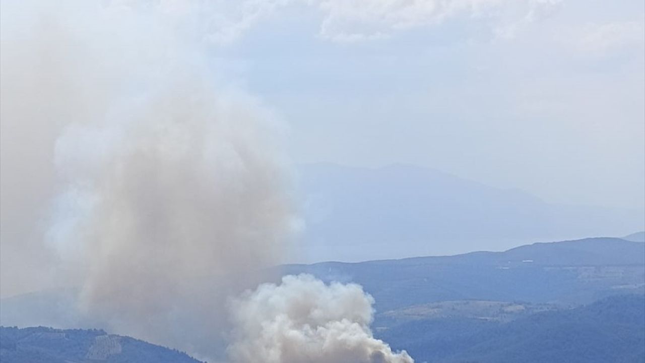 İznik'te Orman Yangınına Anında Müdahale