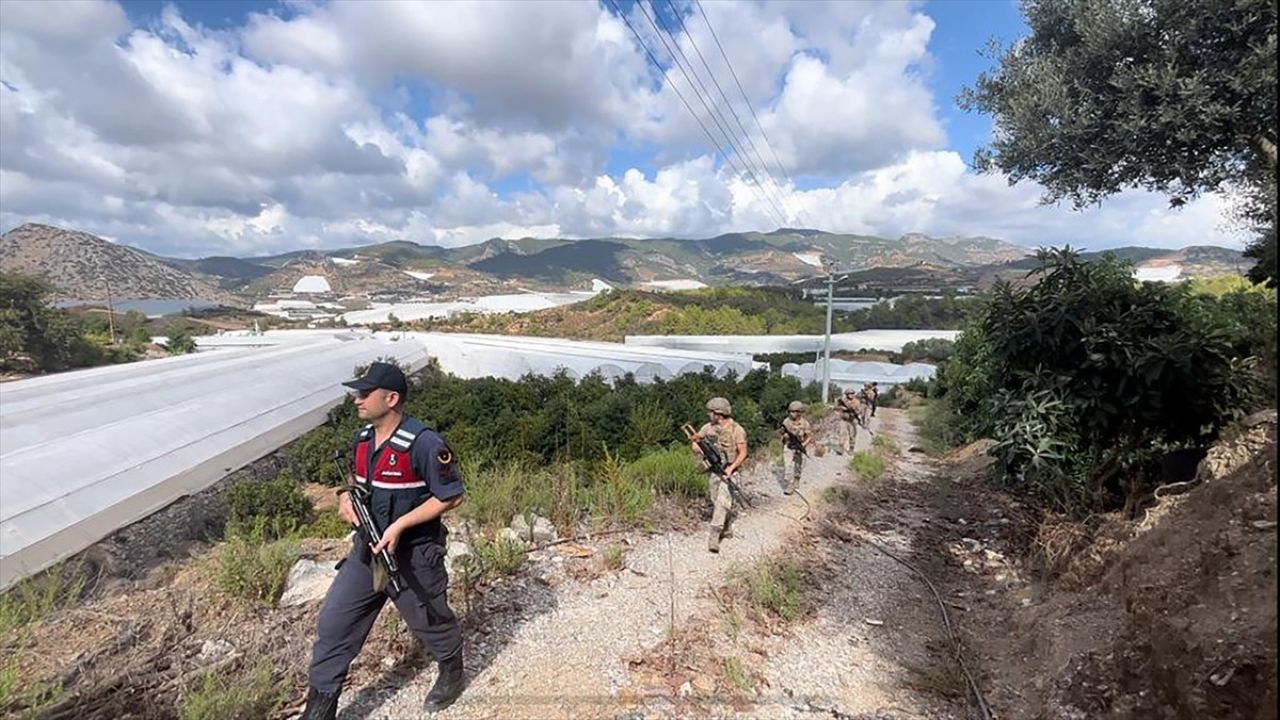 Alanya'da Tropikal Meyve Hırsızlığına Karşı Jandarma Denetimi