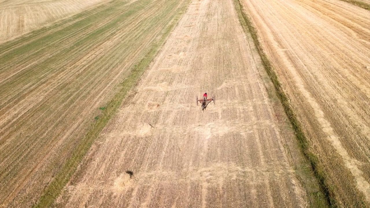 Kars'taki İşlenmeyen Tarım Arazileri Çiftçilere Kiralanacak