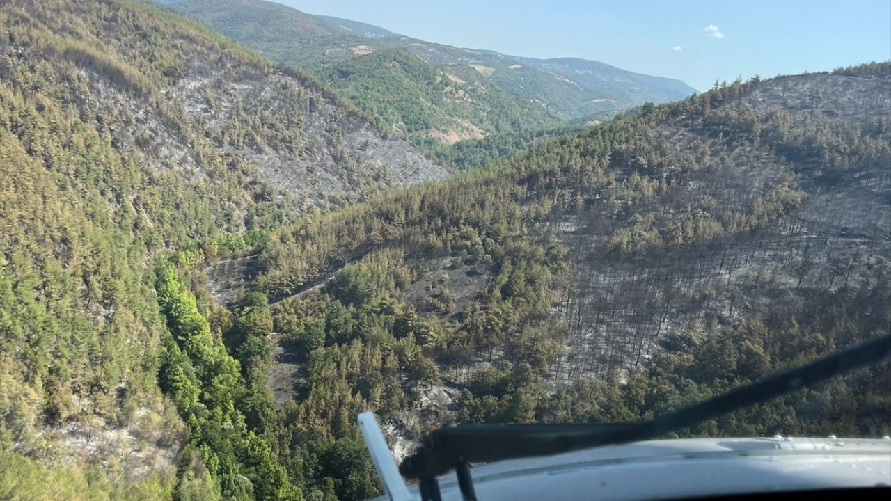 Bursa'da Orman Yangını Kontrol Altına Alındı