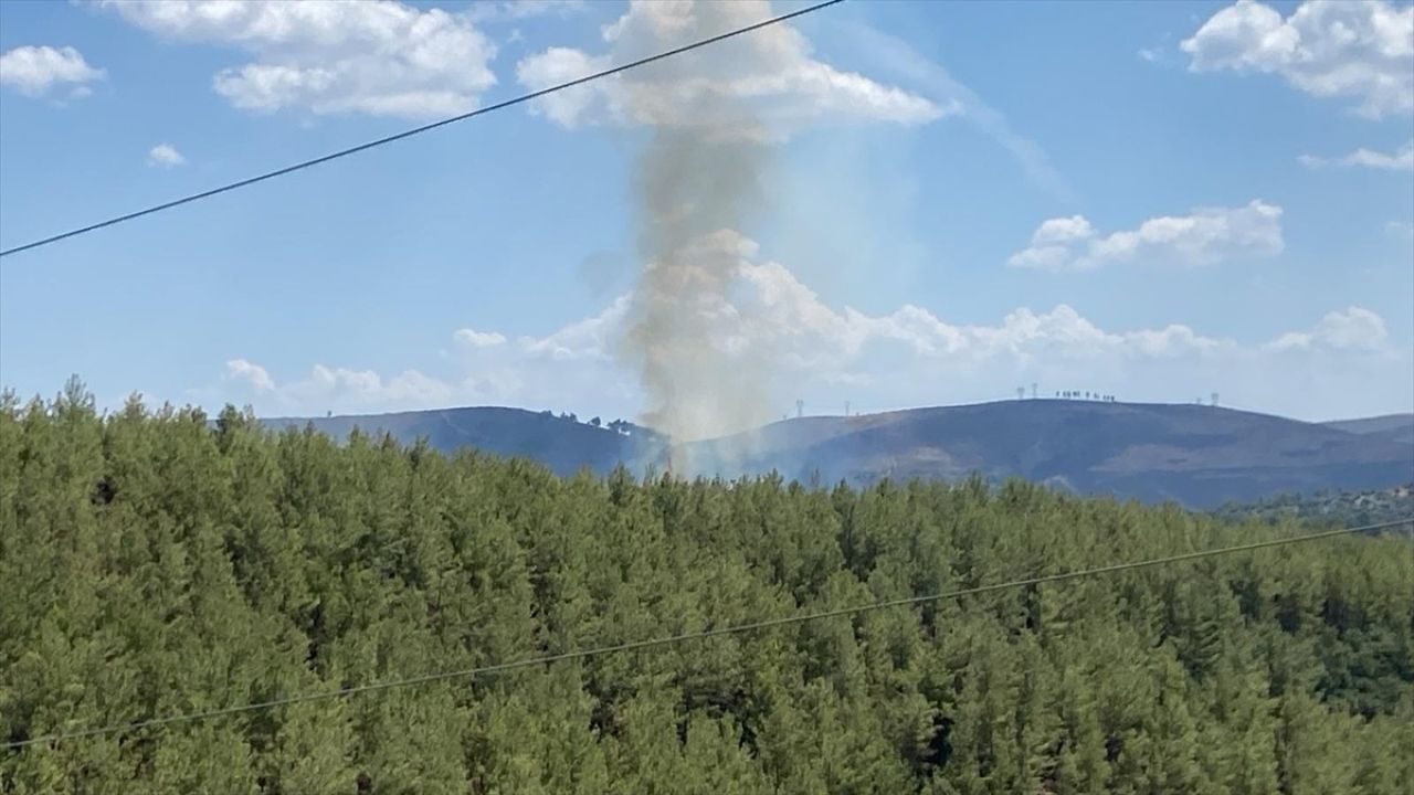 Muğla'daki Orman Yangını Kontrol Altına Alındı