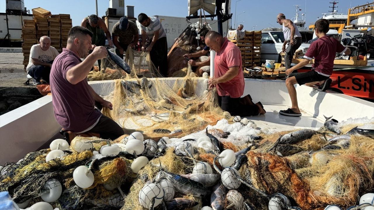 Sinop’ta Balık Avı Sezonu Başladı