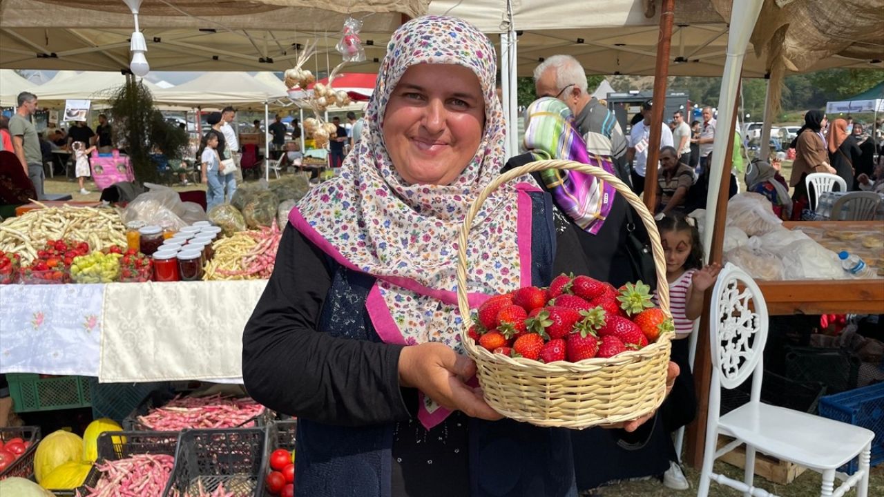 Pamukova'da Renkli Çilek Festivali Heyecanı