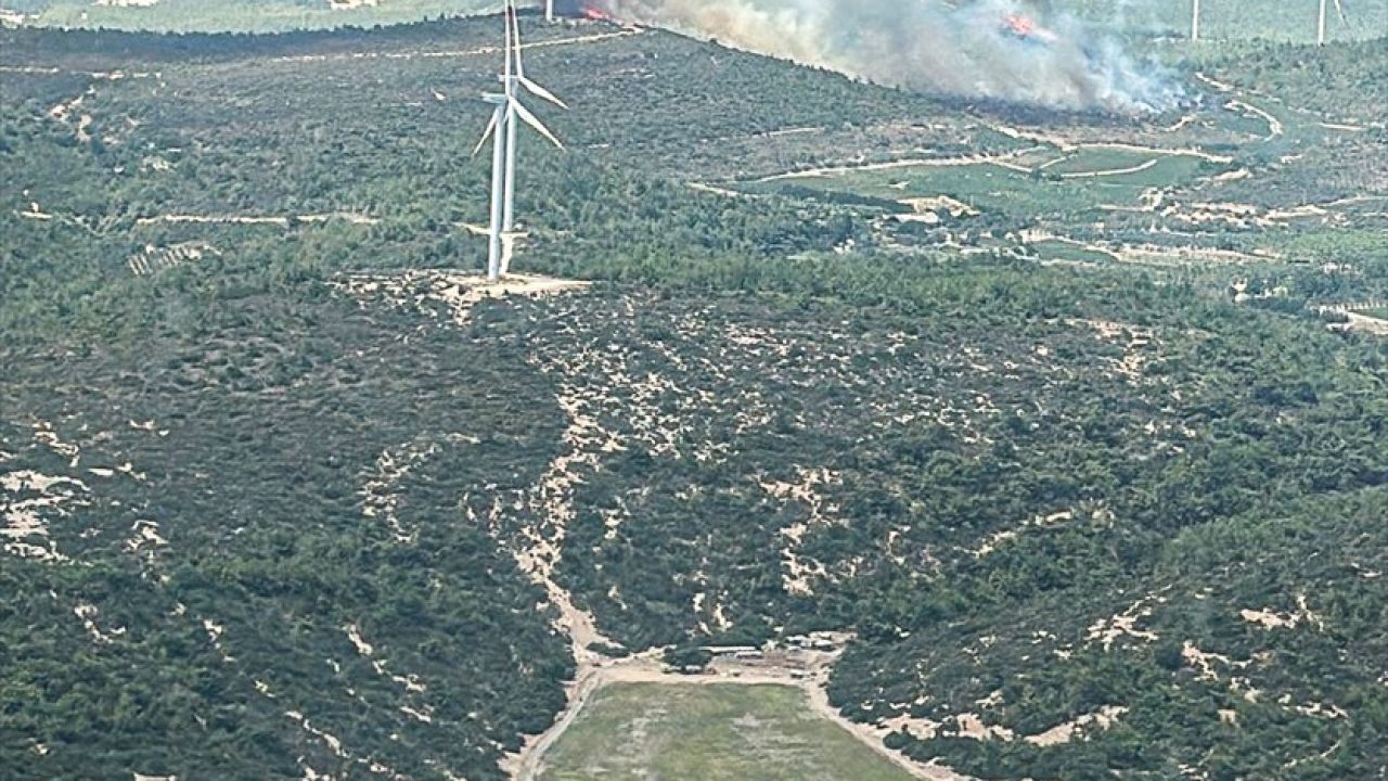 Urla'da Orman Yangını Kontrol Altına Alındı