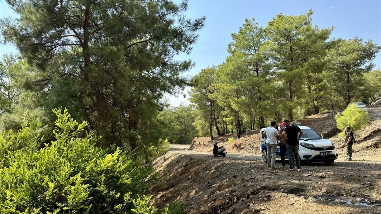 Muğla'da Ormanlık Alanda Terk Edilmiş Bebek Bulundu