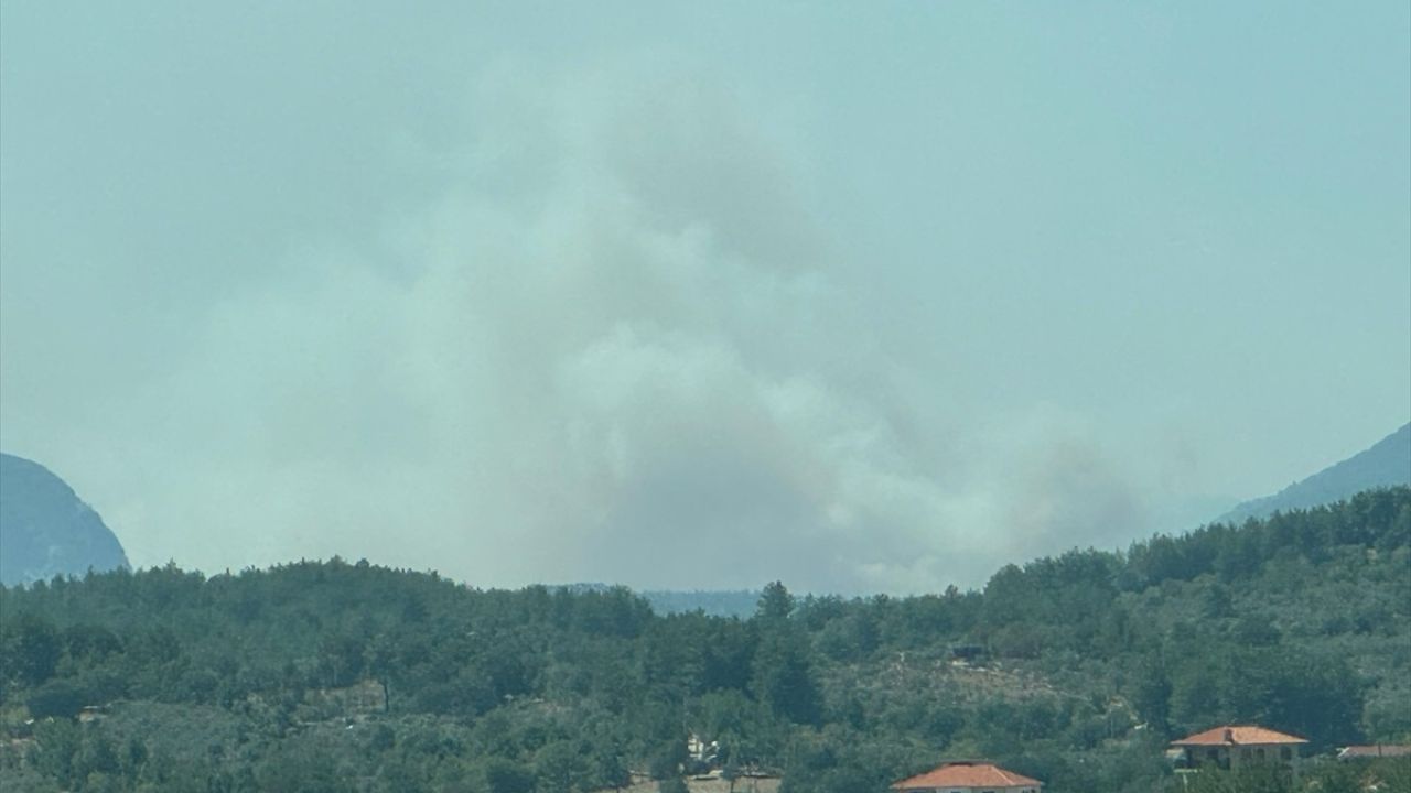 Muğla'da Orman Yangınına Müdahale Başlatıldı