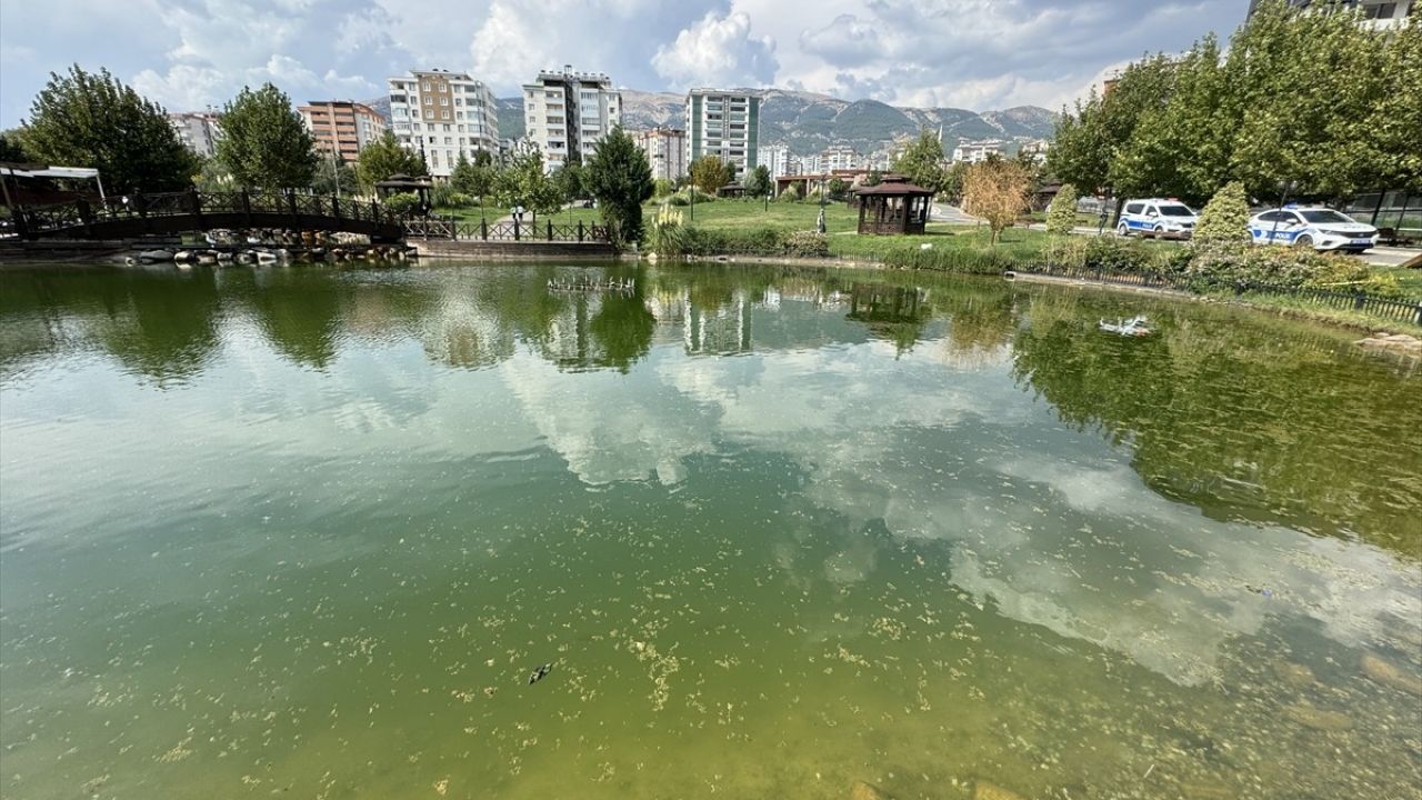 Kahramanmaraş'ta Gölette Boğulan Çocuk Hastaneye Kaldırıldı