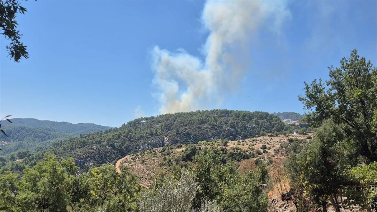 Kaş'ta Orman Yangınına Hızlı Müdahale