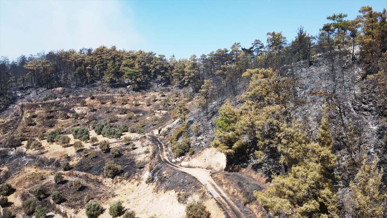 Muğla'daki Orman Yangınına Müdahale Devam Ediyor