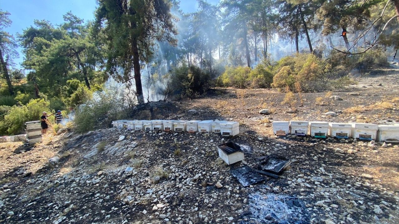 Kaş'taki Orman Yangınıyla İlgili Gözaltı Gelişmesi