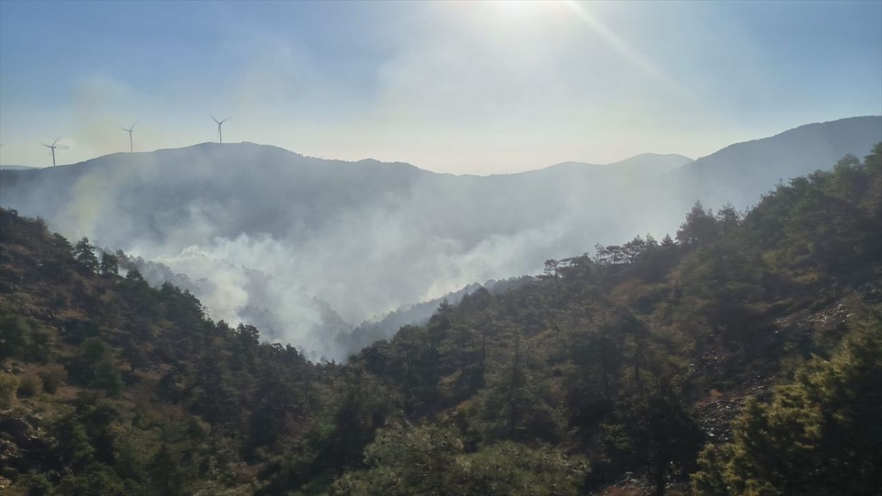 Hatay'daki Orman Yangını Kontrol Altına Alındı