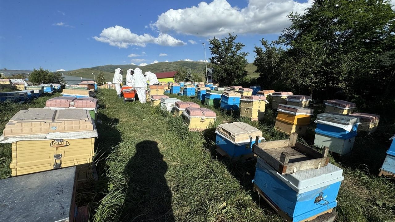 Ardahan Çiçek Balında Rekor Hasat Bekleniyor