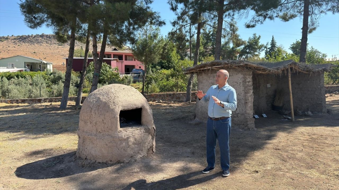 Domuztepe Höyüğü Kazıları 2024'te Tamamlandı