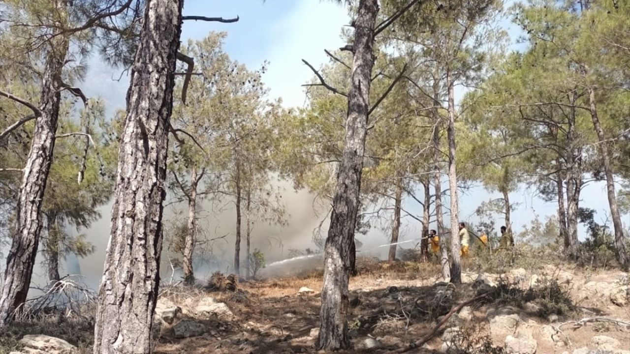 Mersin Gülnar'da Orman Yangını Kontrol Altına Alındı