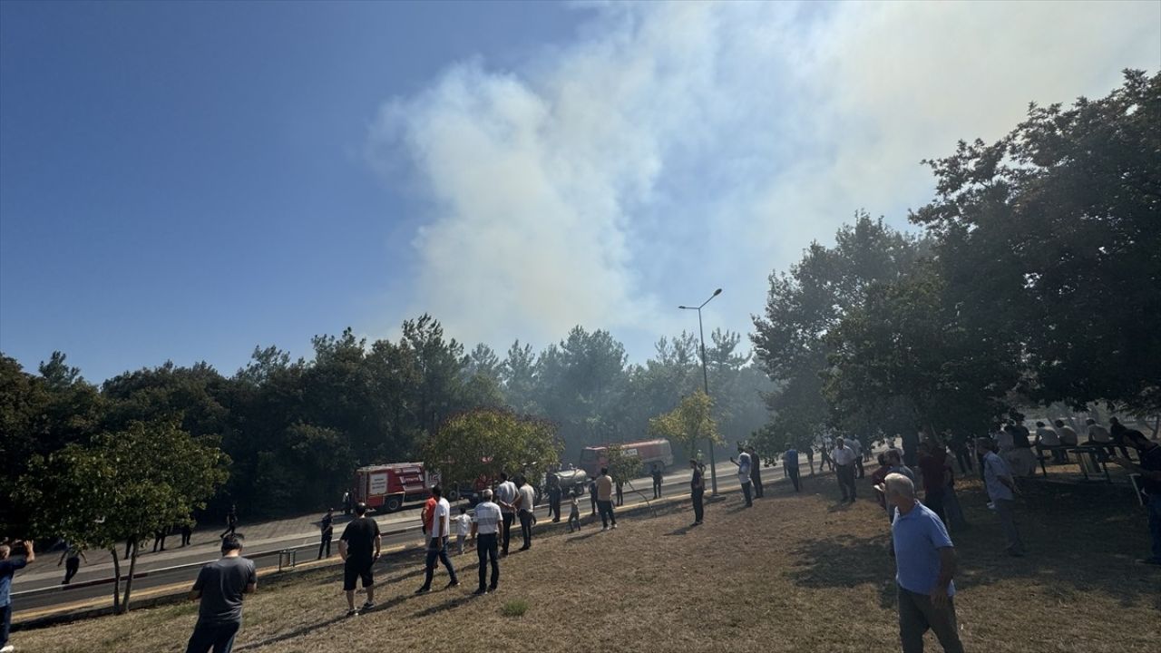 OMÜ Kampüsündeki Orman Yangınına Müdahale Devam Ediyor