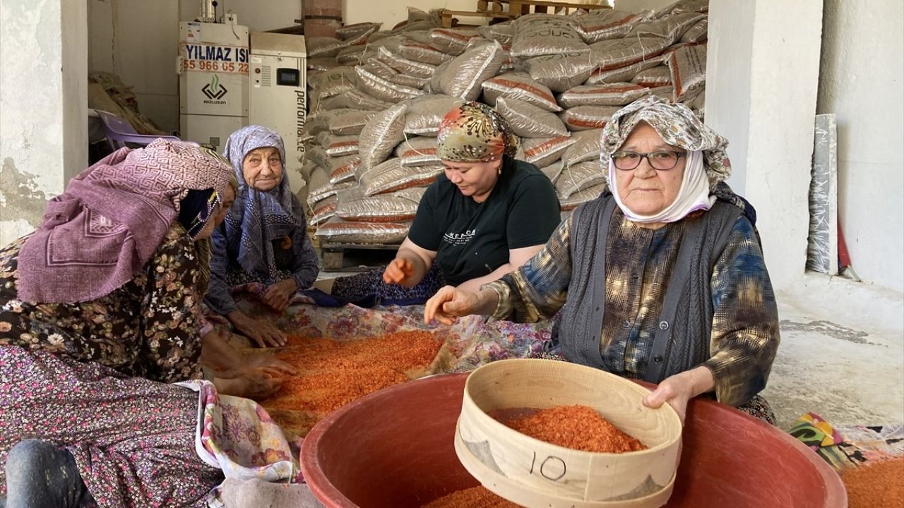 90 Yaşındaki Üç Arkadaşın Uzun Ömür Sırrı: Tarhana ve Dostluk