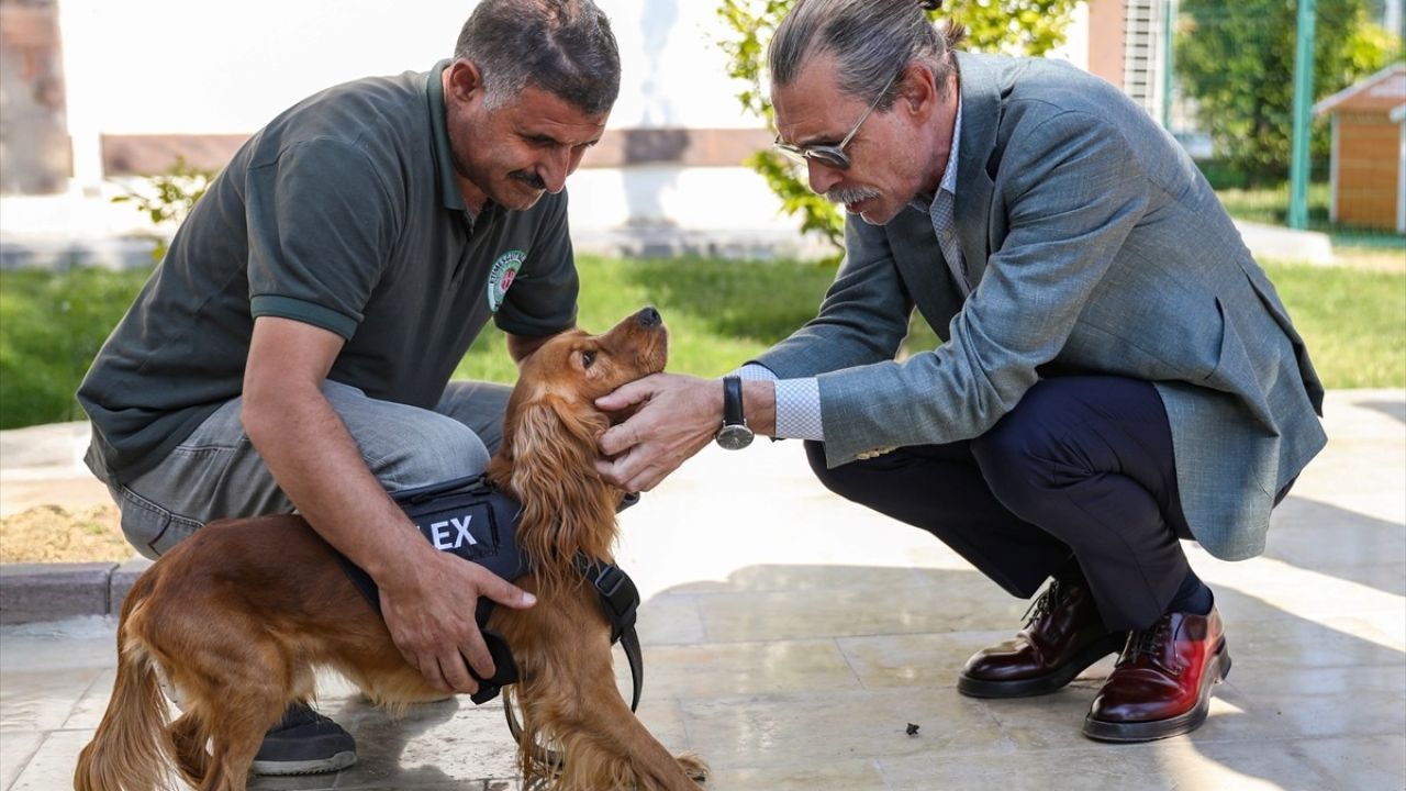 Etimesgut'ta Bekçi Köpekleri Projesi