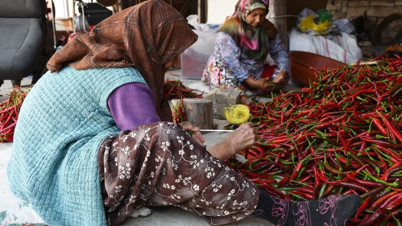 Çukurören Biberi Kurutma Sezonu Açıldı