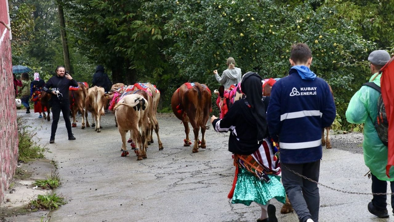 Doğu Karadeniz Yaylalarında Besicilerin Dönüş Yolculuğu