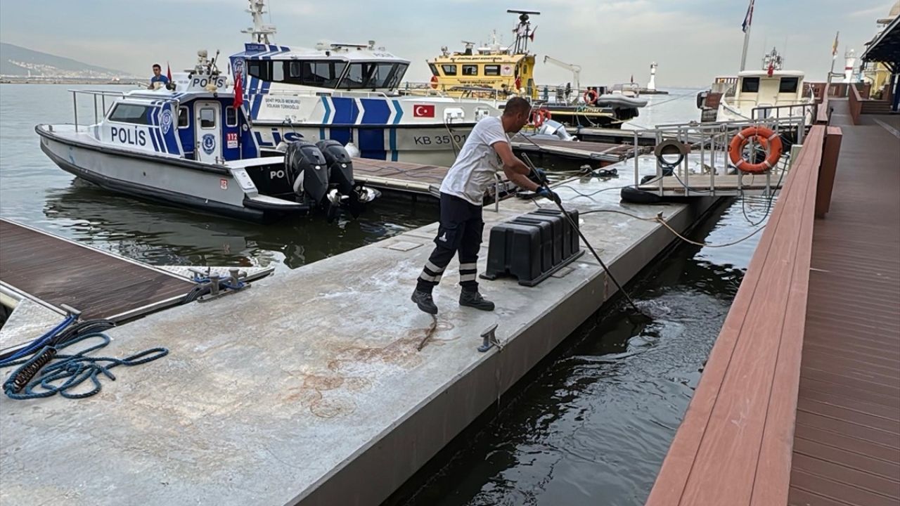 İzmir Körfezi'nde Süregelen Balık Ölümleri ve Kirlilik Sorunu