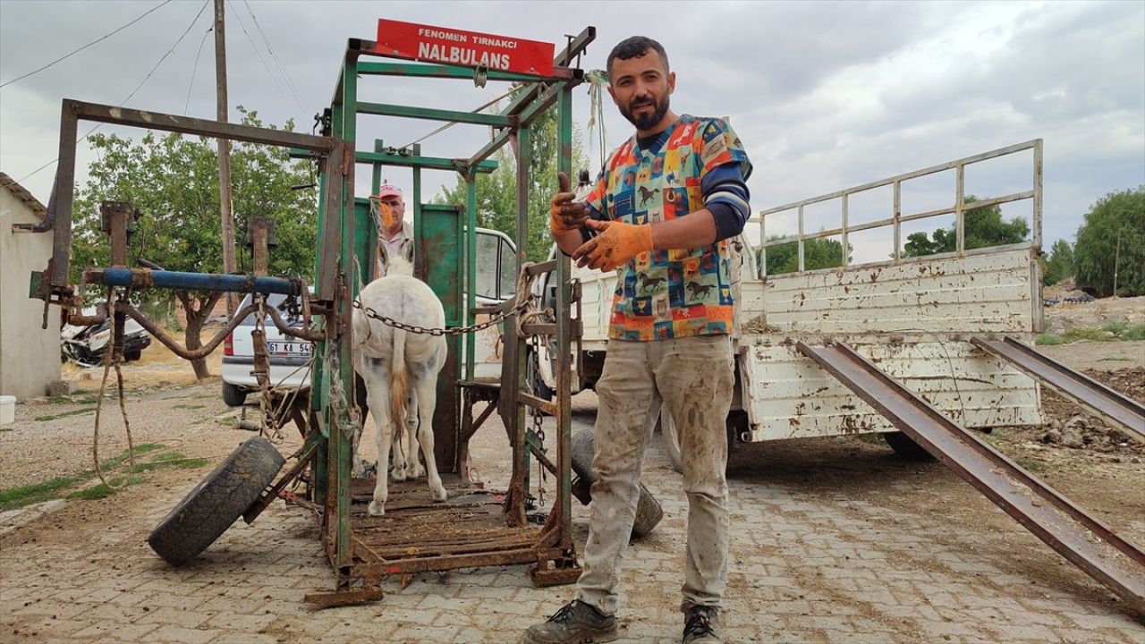 Elbistan'da Nalbulans ile Sahipsiz Hayvanlara Ücretsiz Bakım