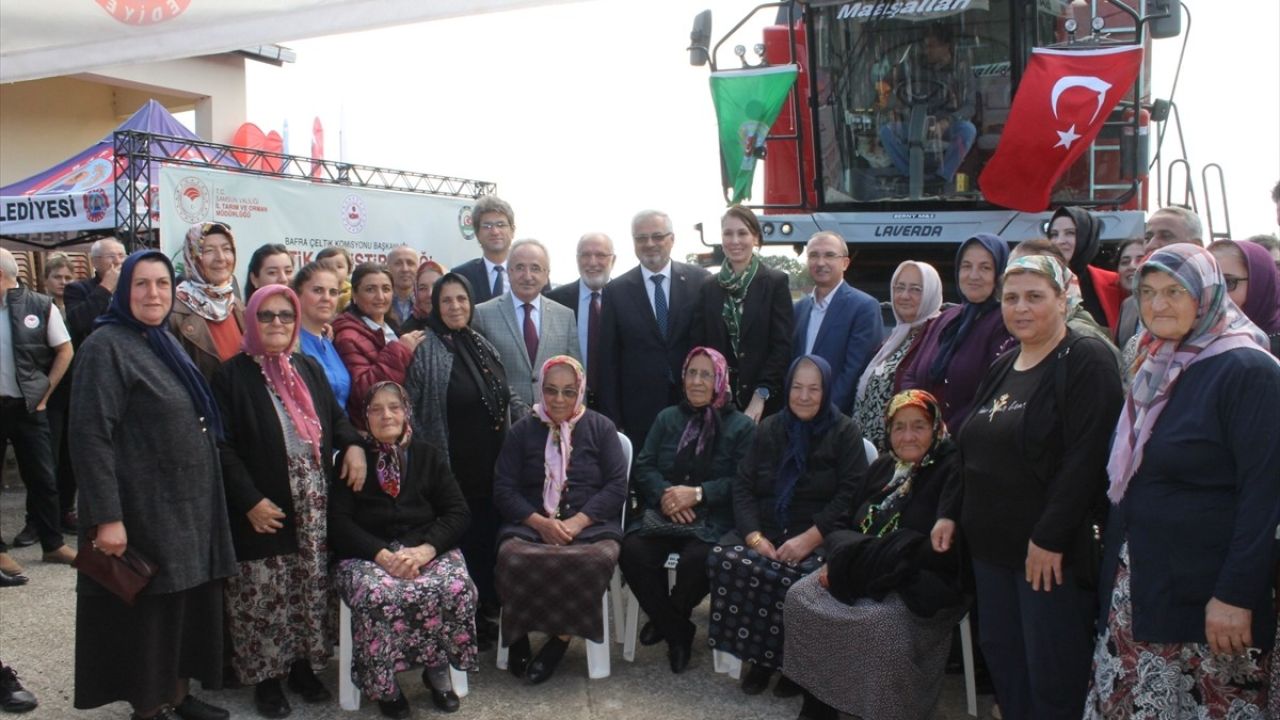 Samsun'da Çeltik Yetiştiriciliği Hasat Günü Etkinliği Düzenlendi