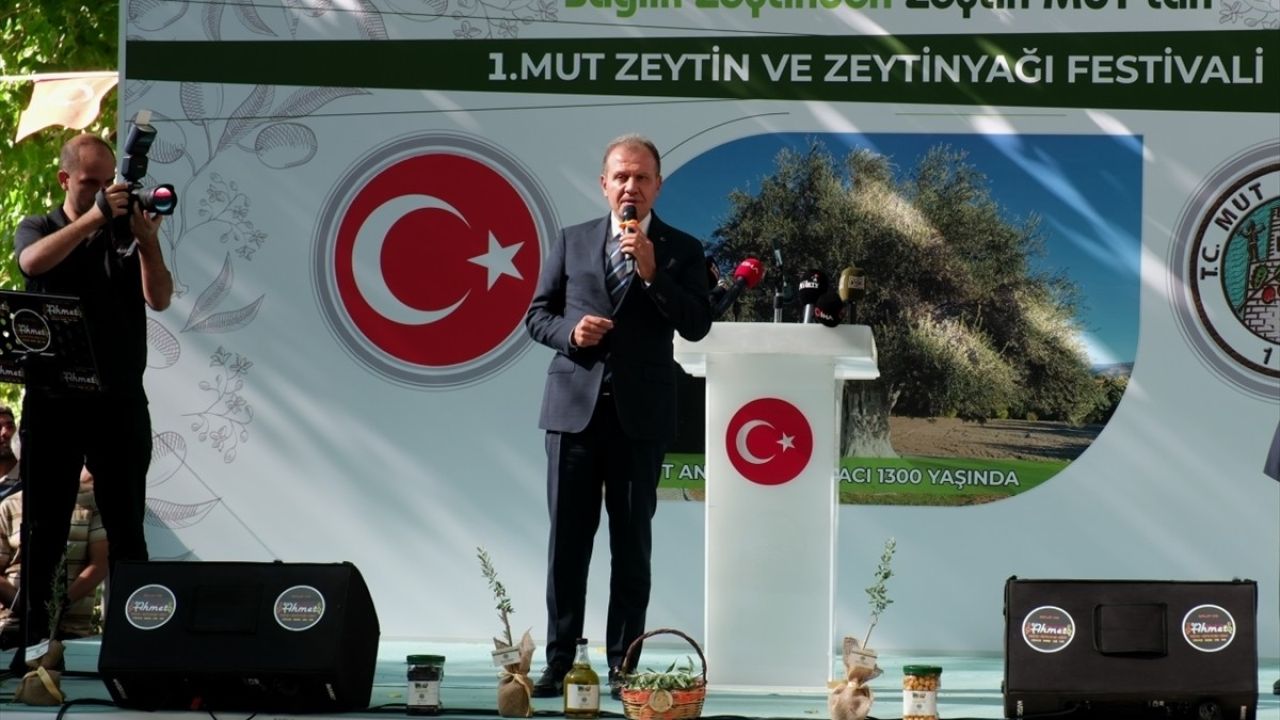 Mersin'de İlk Mut Zeytin ve Zeytinyağı Festivali Heyecanı